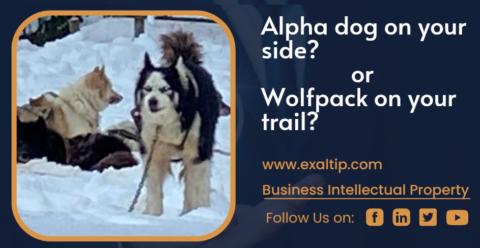 Alpha dog on your side or Wolfpack on your trail?
Start-Up Intellectual Property can be either.

