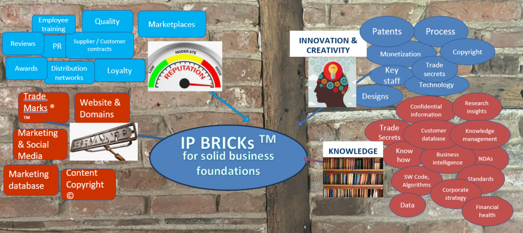 The key BRICK components of intellectual property